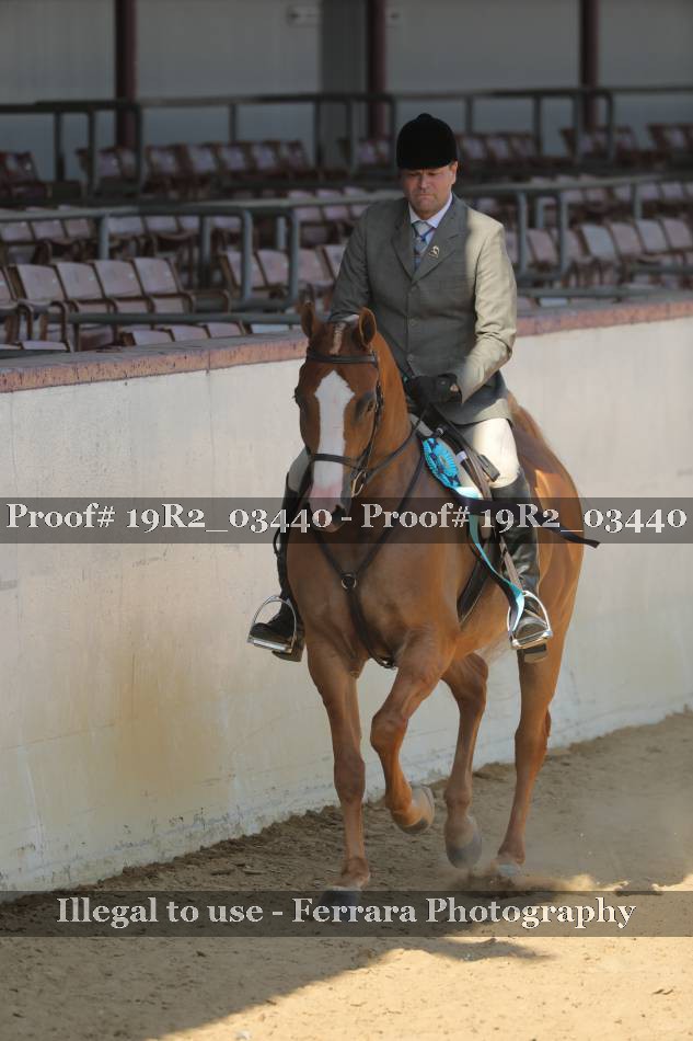 Proof Number 19R2_03440
