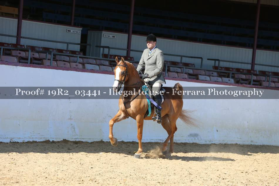 Proof Number 19R2_03441