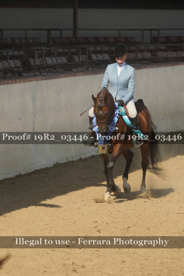 Proof Number 19R2_03446