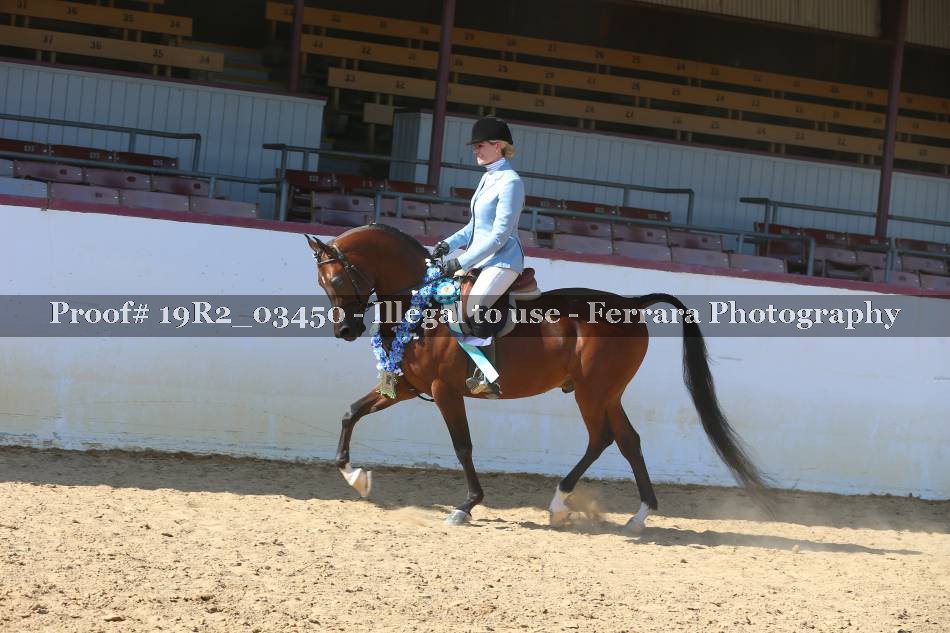 Proof Number 19R2_03450