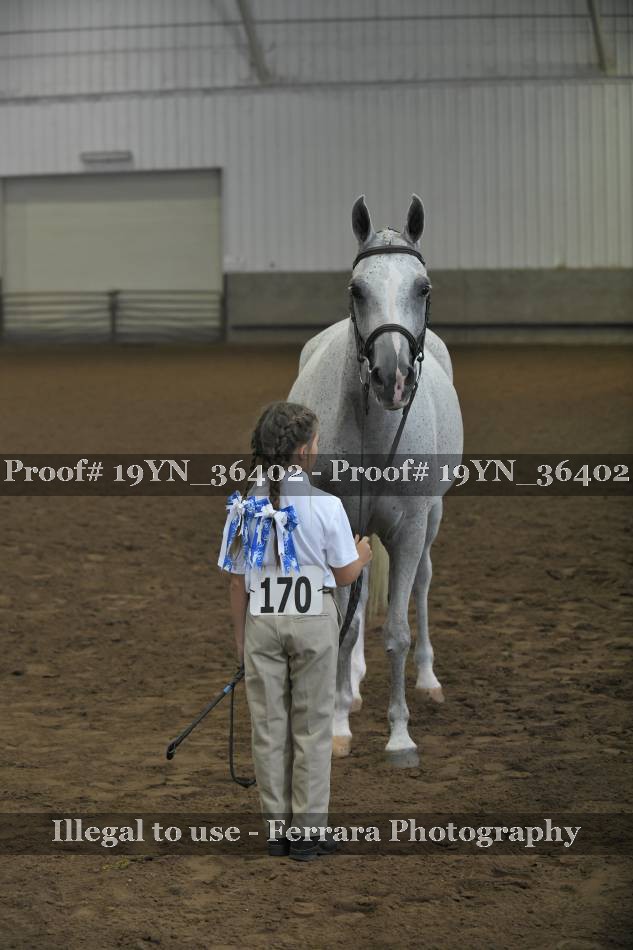 Proof Number 19YN_36402