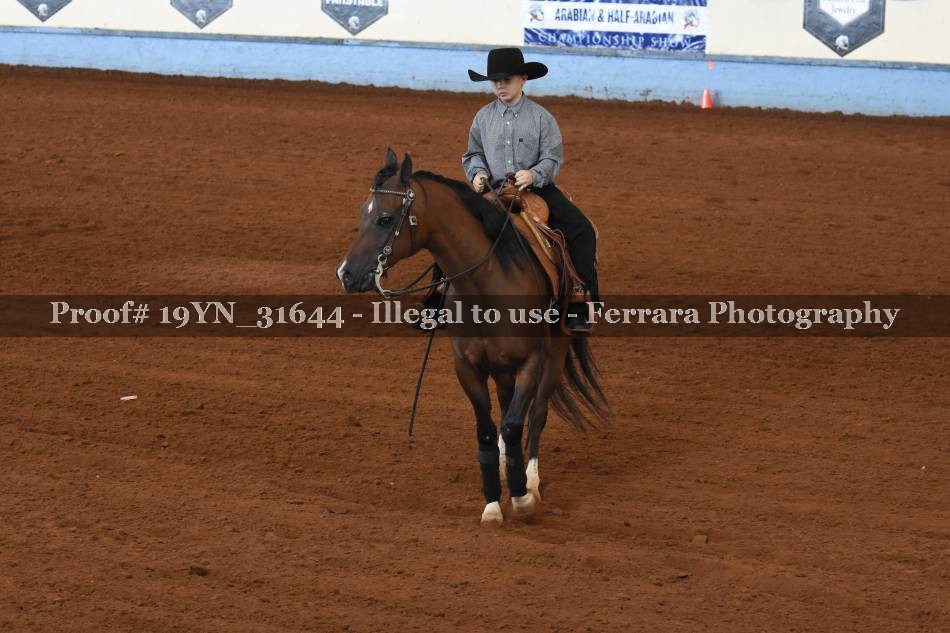 Proof Number 19YN_31644