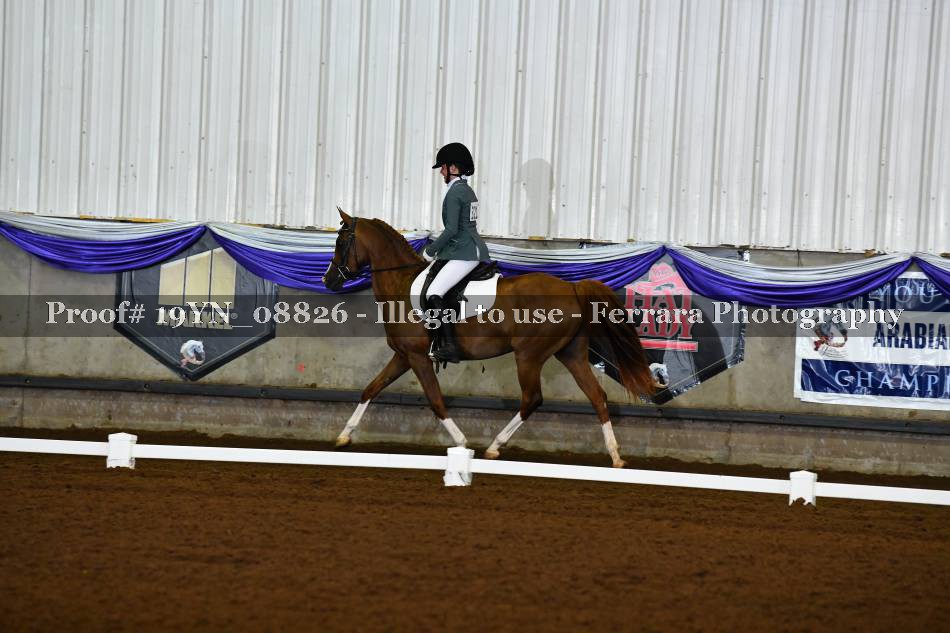 Proof Number 19YN_08826