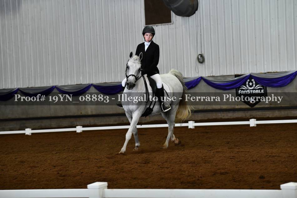 Proof Number 19YN_08883