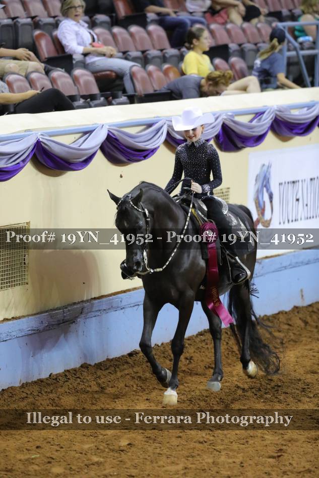 Proof Number 19YN_41952