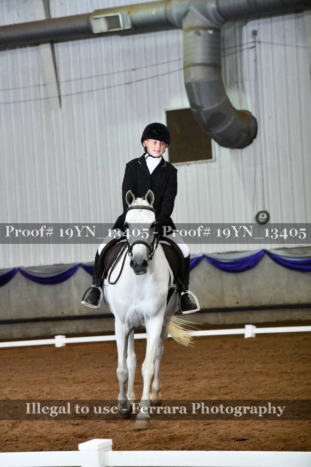Proof Number 19YN_13405