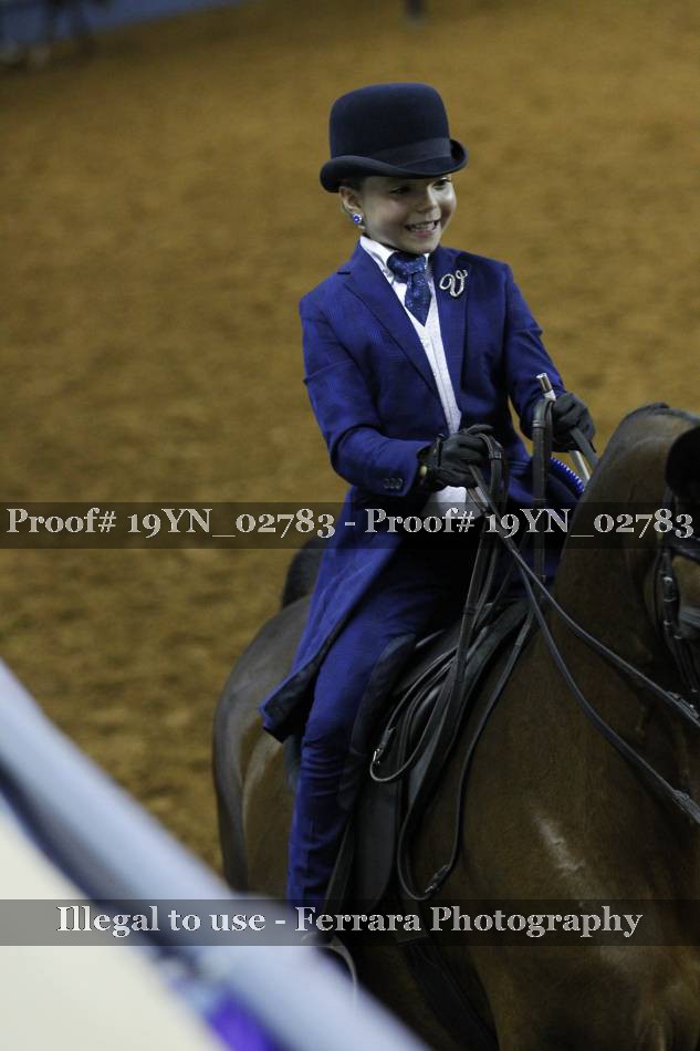 Proof Number 19YN_02783