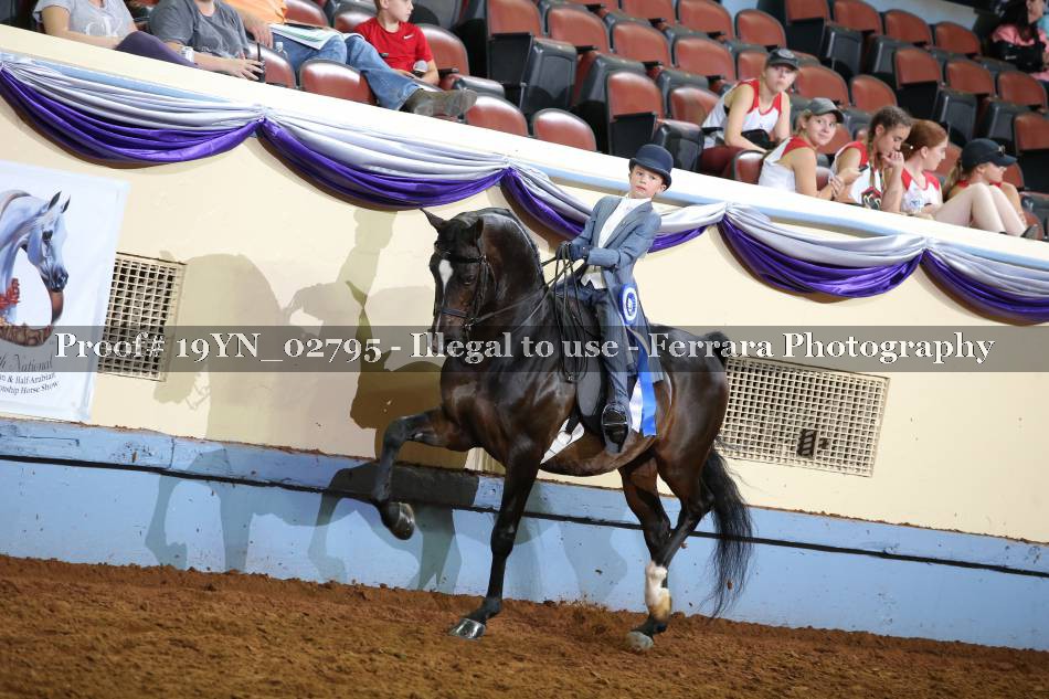 Proof Number 19YN_02795