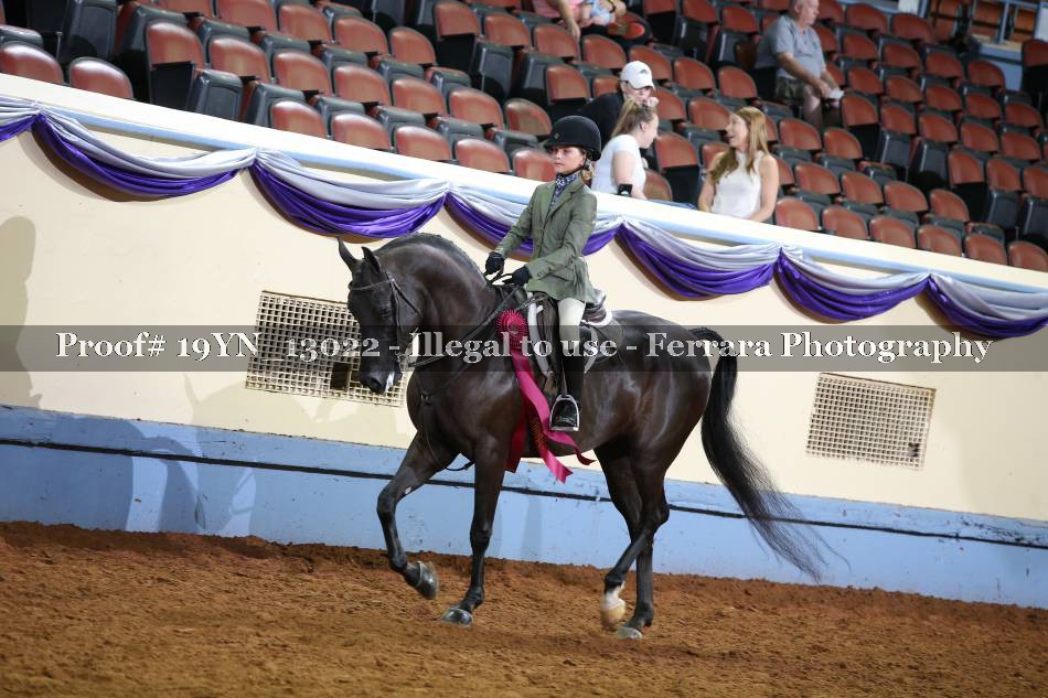Proof Number 19YN_13022