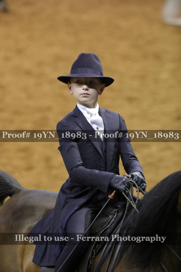 Proof Number 19YN_18983