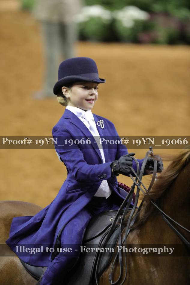 Proof Number 19YN_19066