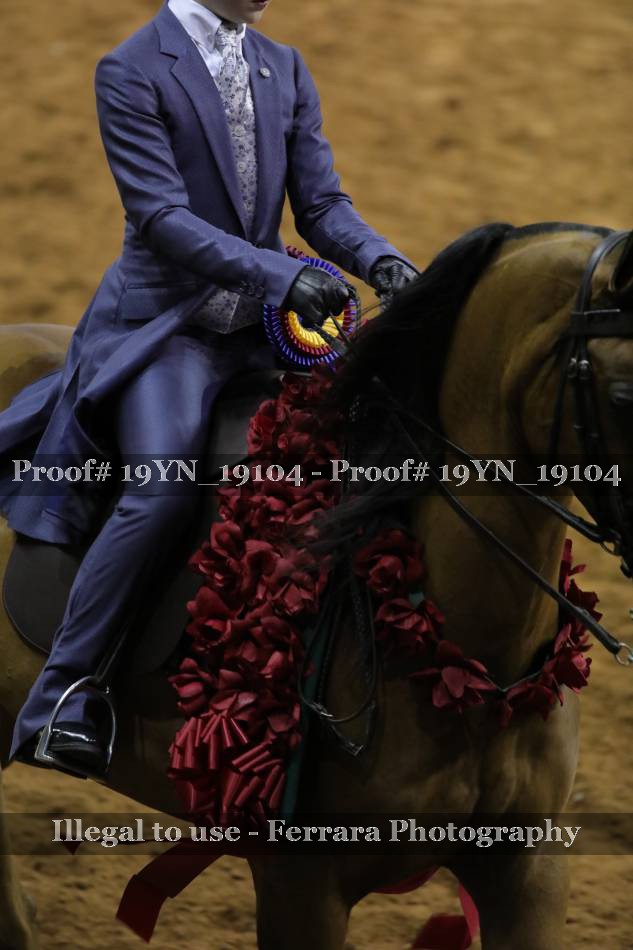 Proof Number 19YN_19104