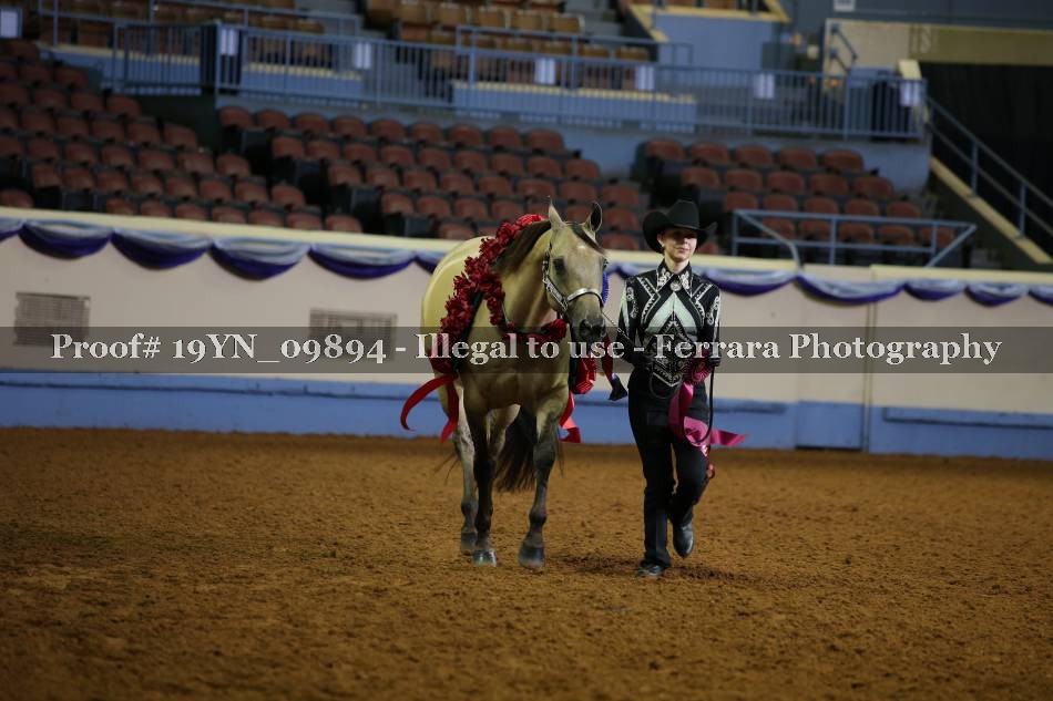 Proof Number 19YN_09894