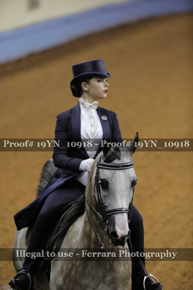 Proof Number 19YN_10918