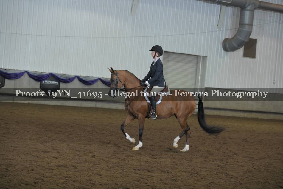Proof Number 19YN_41695