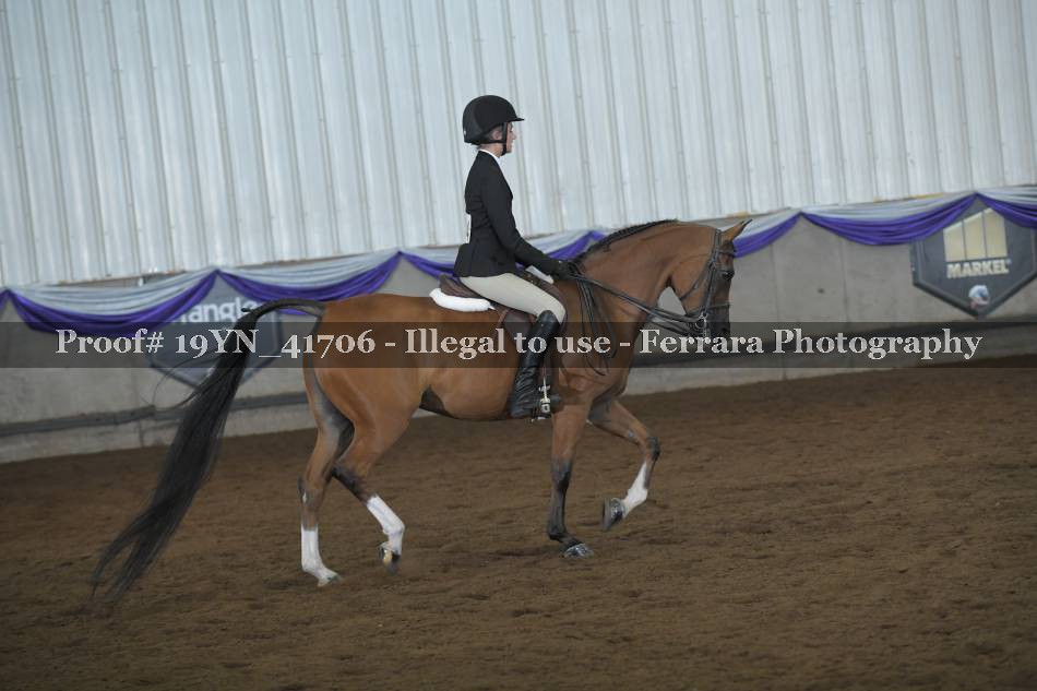 Proof Number 19YN_41706