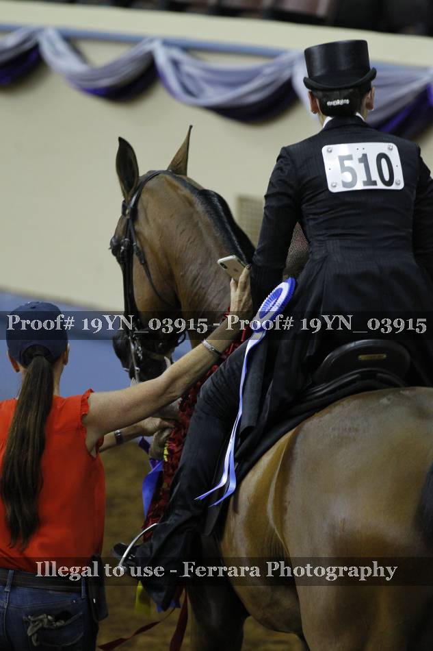 Proof Number 19YN_03915