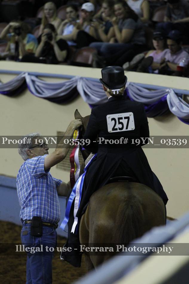 Proof Number 19YN_03539