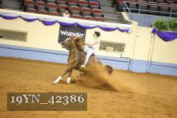 19YN_42386 thumbnail