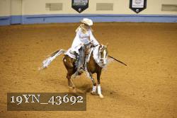 19YN_43692 thumbnail