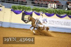 19YN_43694 thumbnail