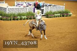 19YN_43708 thumbnail
