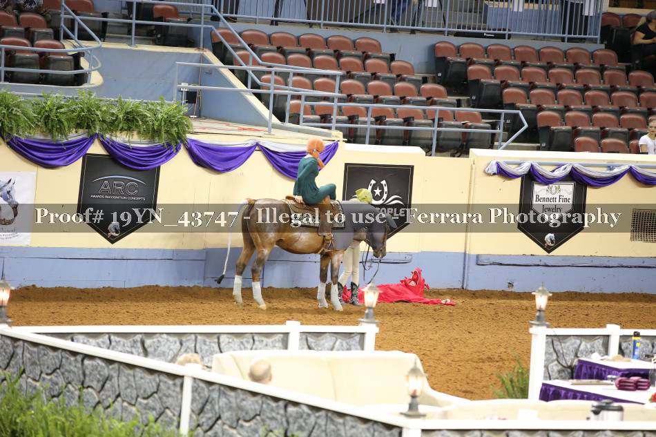 Proof Number 19YN_43747