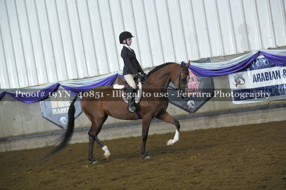 Proof Number 19YN_40851
