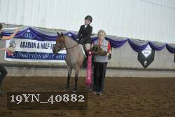 19YN_40882 thumbnail