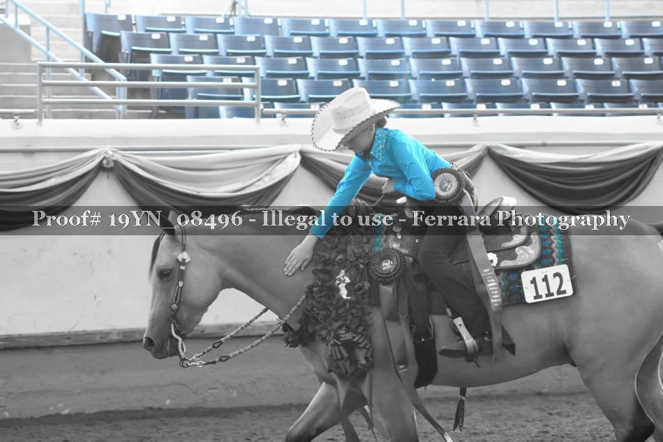 Proof Number 19YN_08496