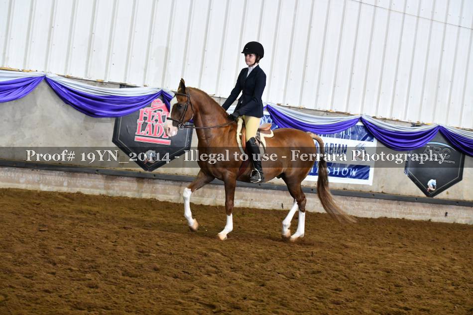 Proof Number 19YN_20114
