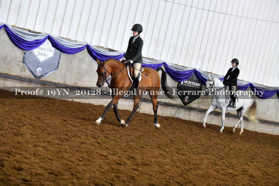 Proof Number 19YN_20128