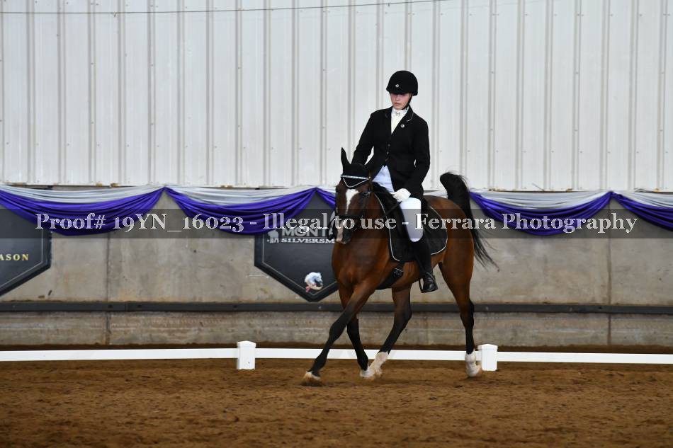 Proof Number 19YN_16023
