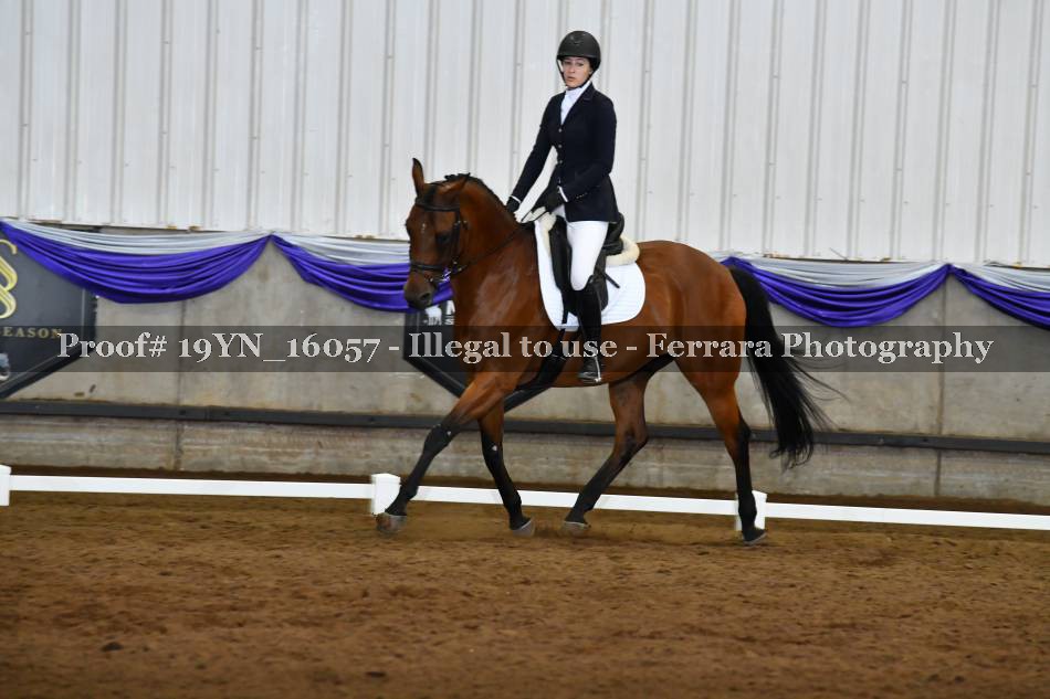 Proof Number 19YN_16057