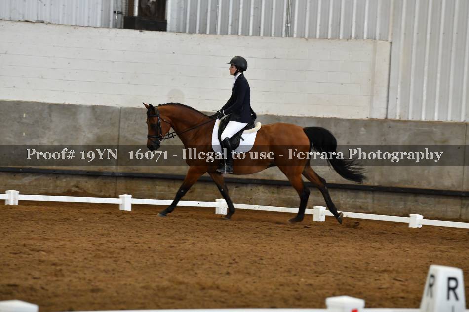 Proof Number 19YN_16071
