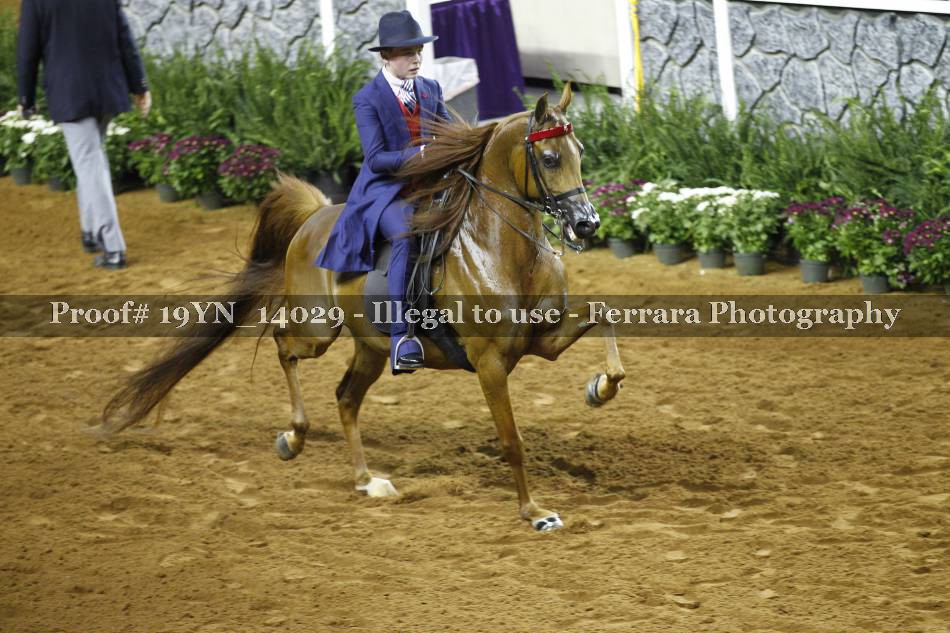Proof Number 19YN_14029