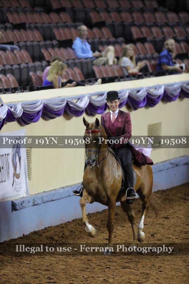 Proof Number 19YN_19508