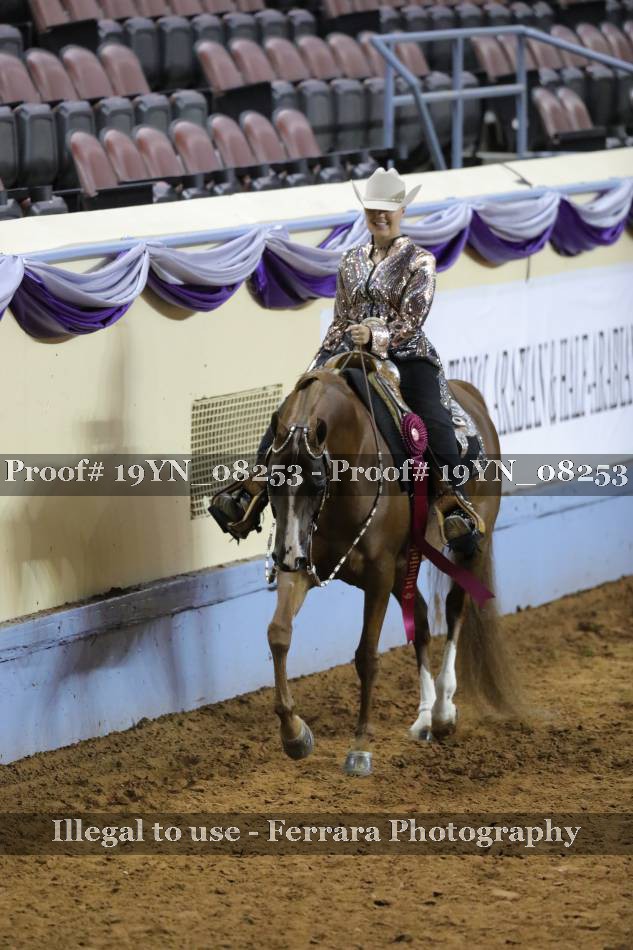Proof Number 19YN_08253