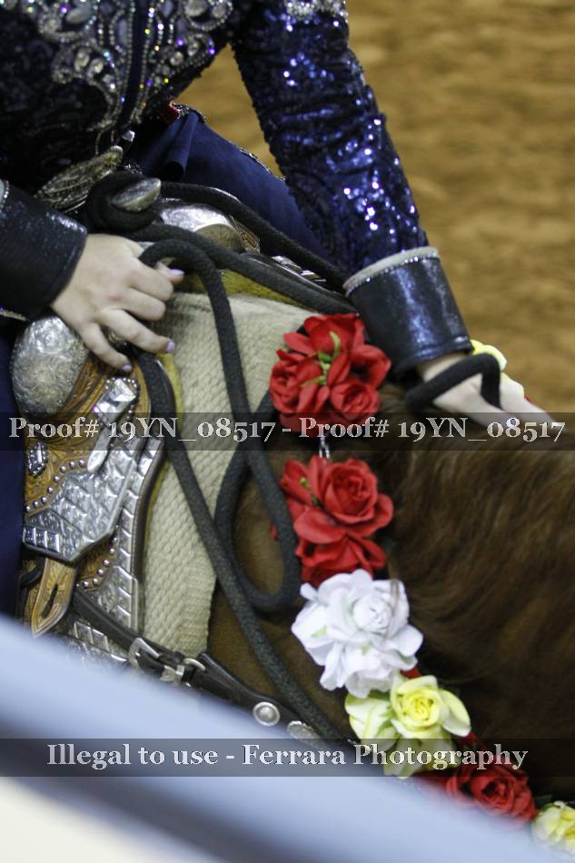 Proof Number 19YN_08517