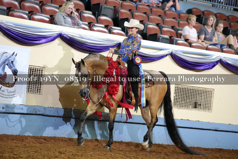 Proof Number 19YN_08519