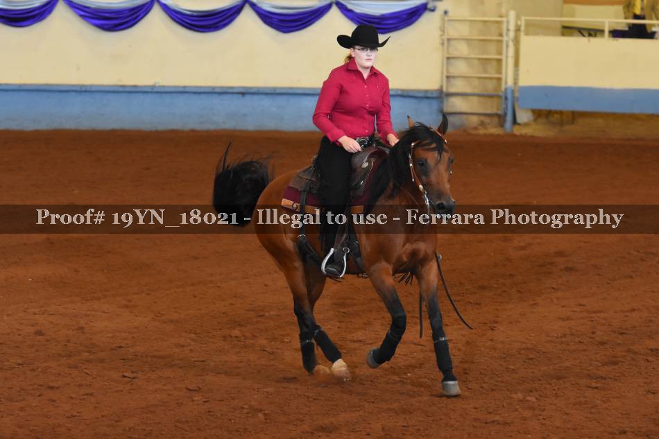Proof Number 19YN_18021