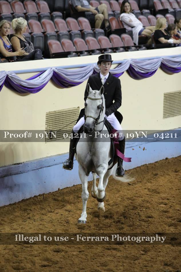 Proof Number 19YN_04211
