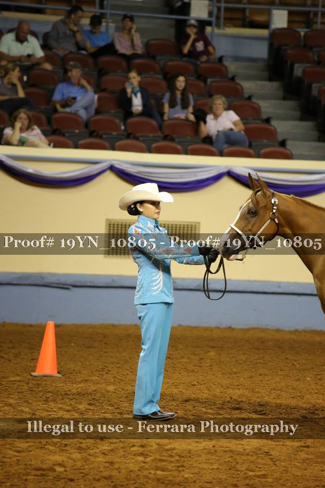 Proof Number 19YN_10805