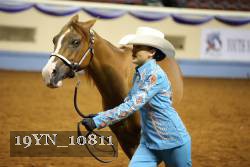 19YN_10811 thumbnail