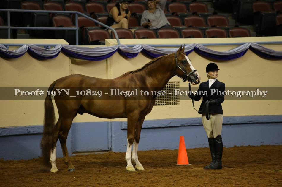 Proof Number 19YN_10829