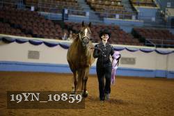 19YN_10859 thumbnail