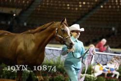 19YN_10874 thumbnail