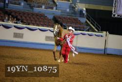 19YN_10875 thumbnail