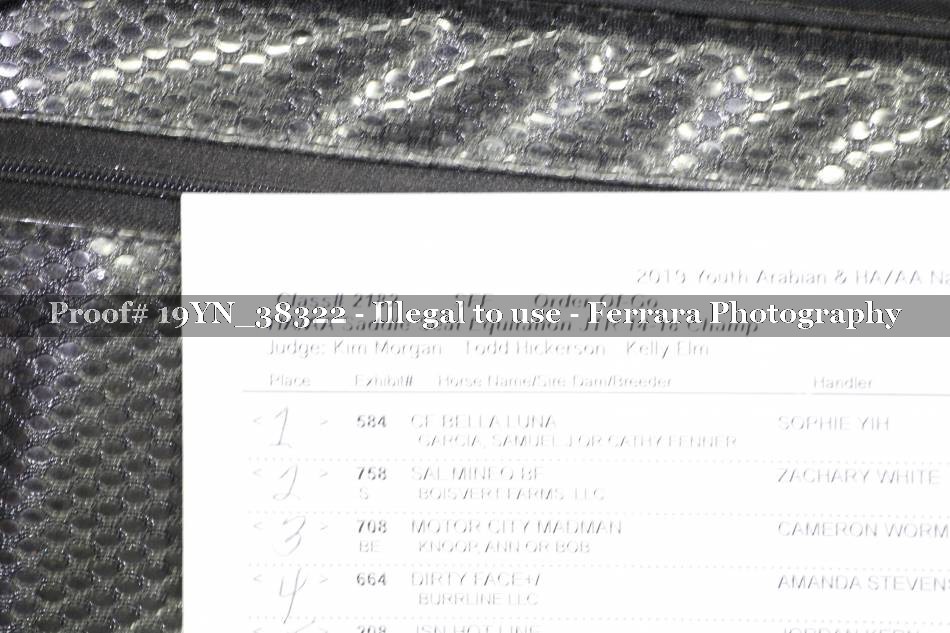 Proof Number 19YN_38322