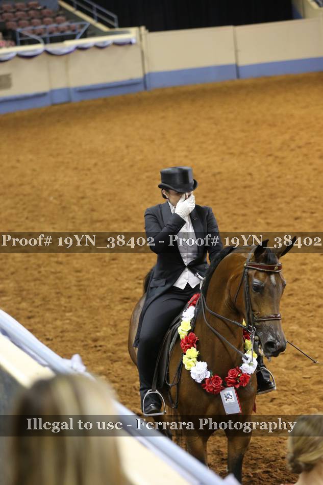 Proof Number 19YN_38402